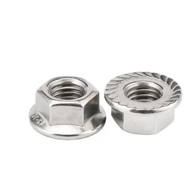 Flange SS304 کے ساتھ مسدس گری دار میوے
